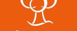 swindon council